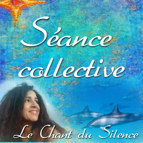 Séance_collective